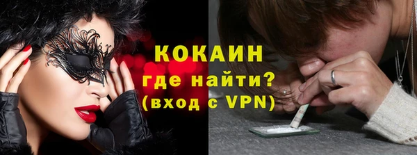 индика Аркадак