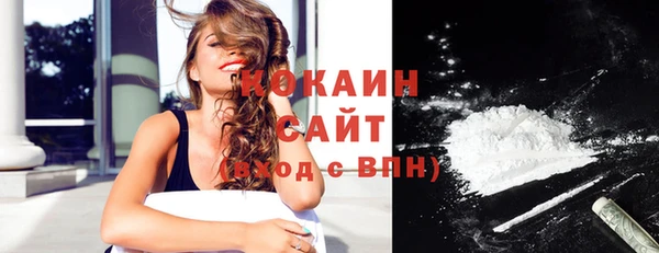 индика Аркадак