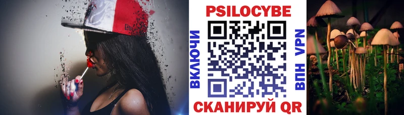 Псилоцибиновые грибы мицелий  Новая Ладога 
