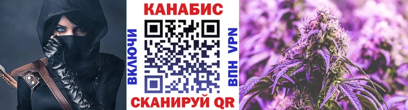 Каннабис OG Kush  Новая Ладога 